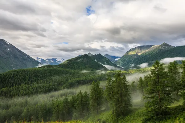 Mraky nad horami a stromy — Stock fotografie