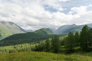 dağlar ve ağaçlar üzerinde gökyüzünde bulutlar