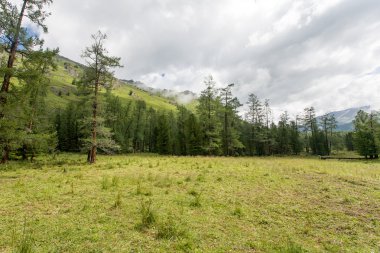 dağlar ve ağaçlar üzerinde gökyüzünde bulutlar