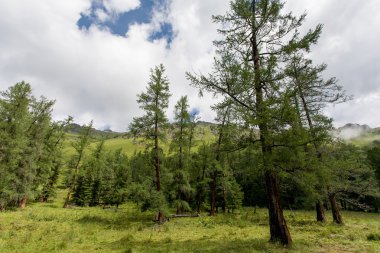 dağlar ve ağaçlar üzerinde gökyüzünde bulutlar