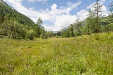 dağlar ve ağaçlar üzerinde gökyüzünde bulutlar