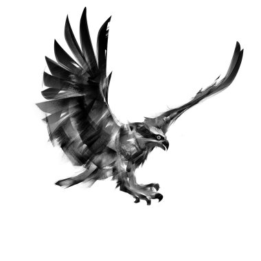 yalıtılmış bir yırtıcı kuş atmaca