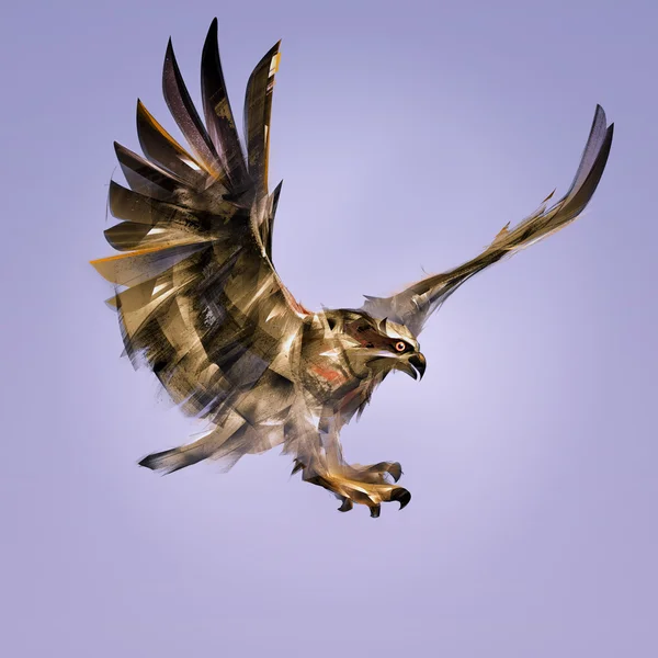 Art bird of prey hawk in attack — Stock Photo, Image