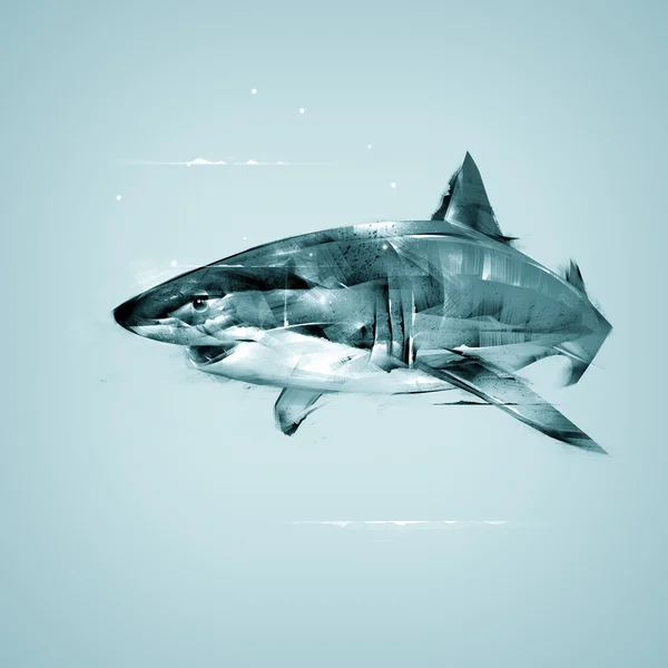 ฉลามวาดภาพที่สมจริง — ภาพถ่ายสต็อก