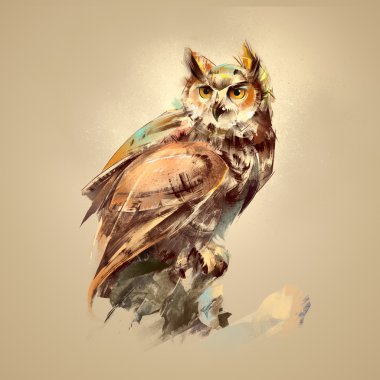 Sanat renk oturma baykuş