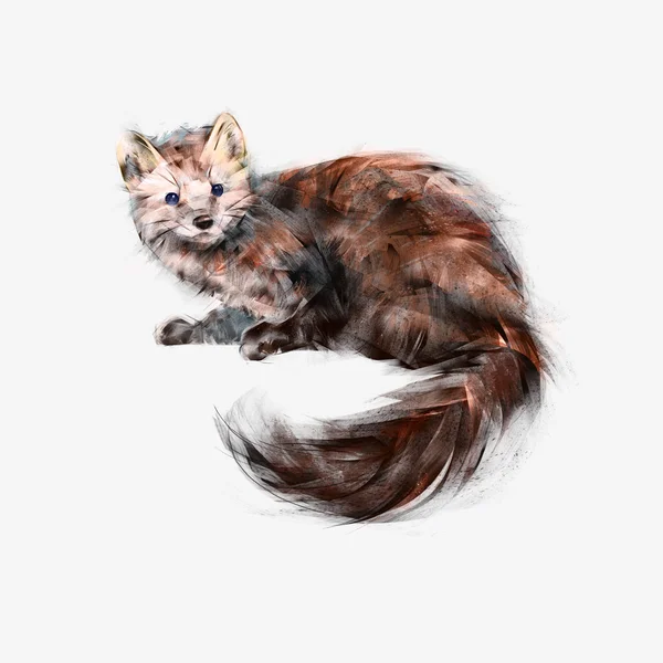 Animal weasel art isolated — Stockfoto