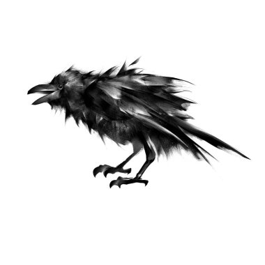 sitting crow art isolated clipart