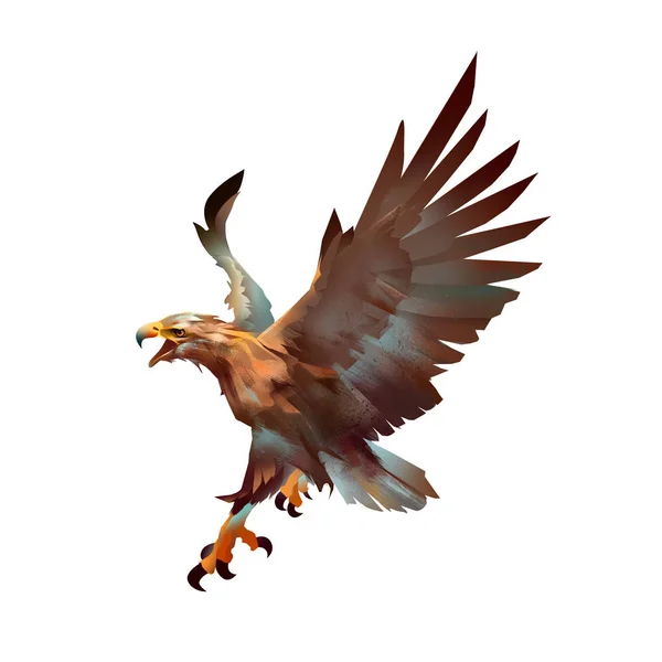 Eagle aanval kleur kunst — Stockfoto