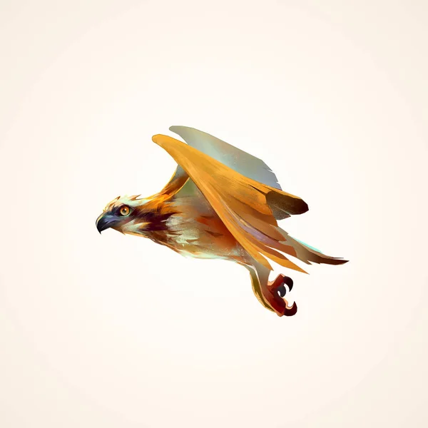 Rysunek hawk latający na białym tle — Zdjęcie stockowe