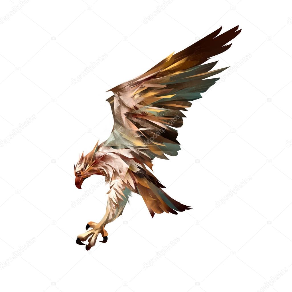 Drawn isolated landing bird osprey