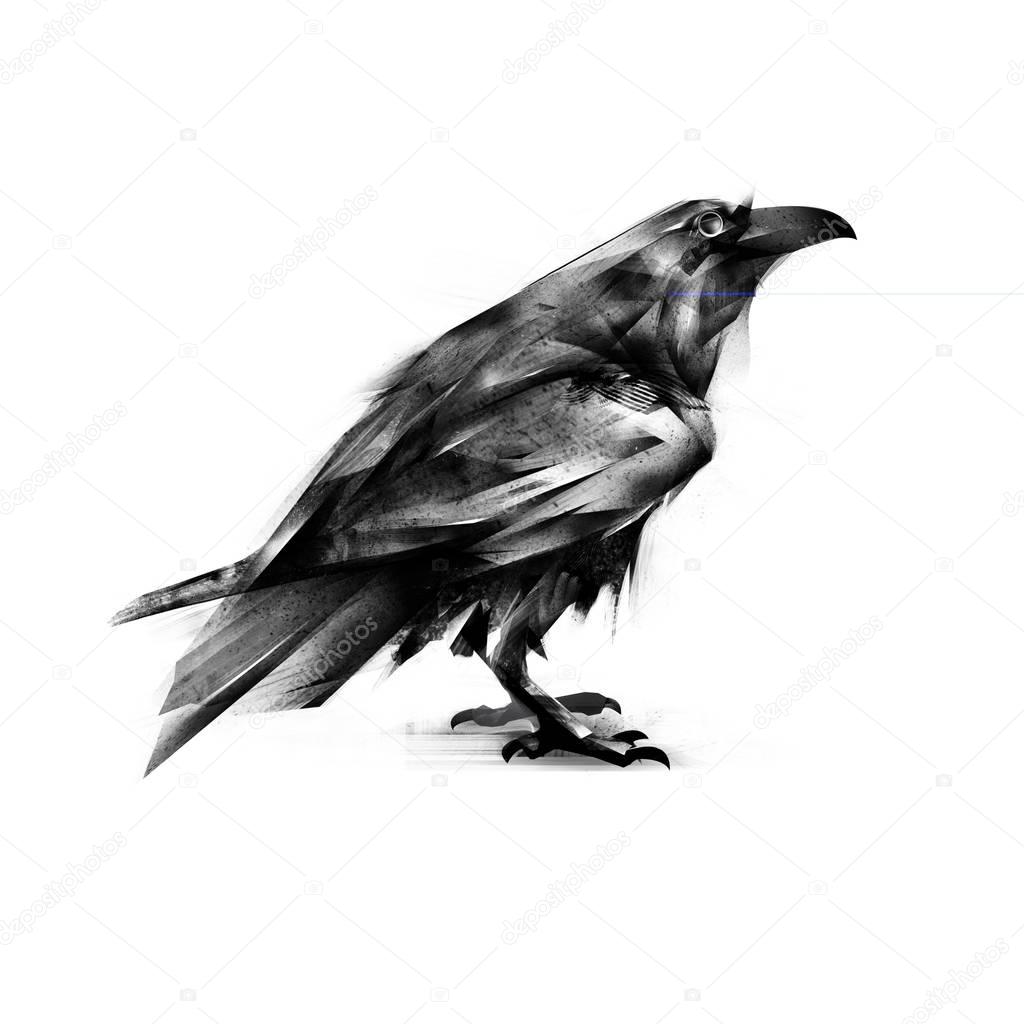 painted black crow on a white background