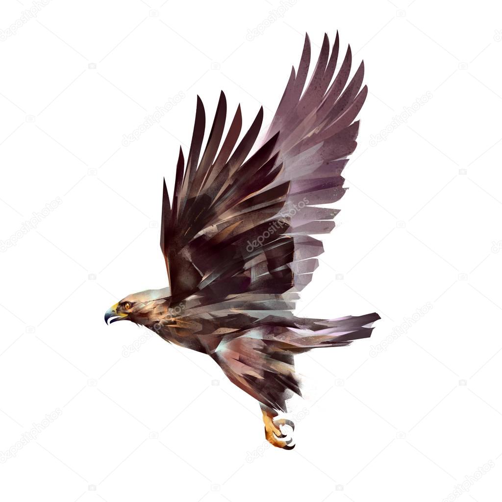 painted flying eagle isolated on white background