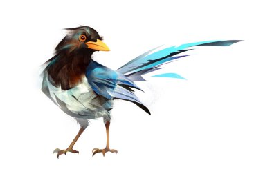 Beyaz bir arka plan üzerinde oturan boyalı parlak kuş Saksağan