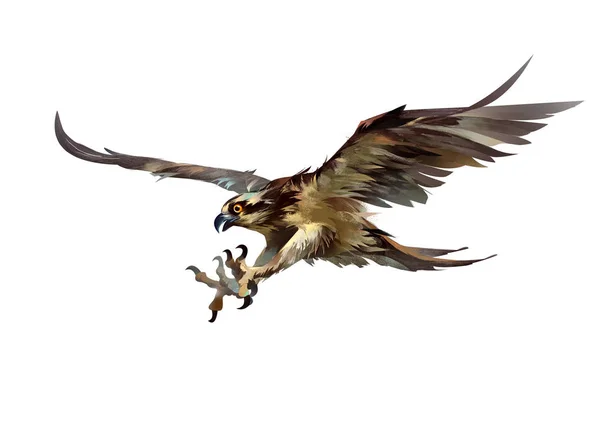 Disegnato attaccare falco su uno sfondo bianco — Foto Stock