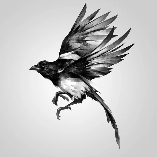 Izole boyalı gerçekçi kroki magpie uçuş — Stok fotoğraf