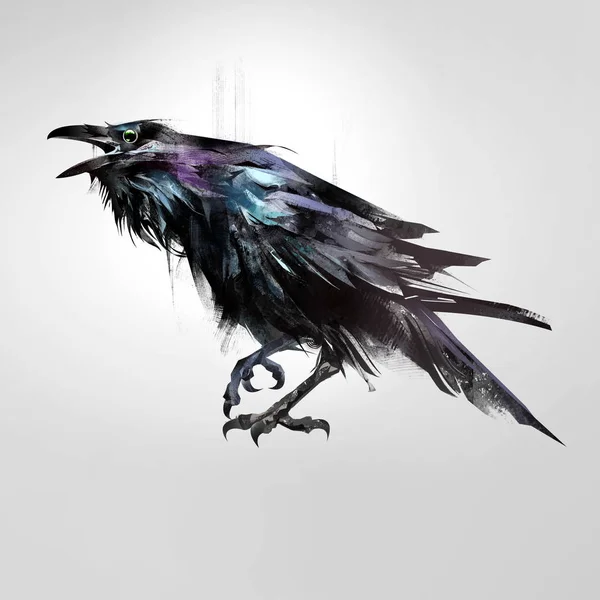 Drawn isolated colored bird sitting raven — Stock Photo, Image