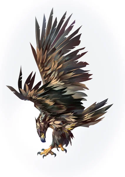 Drawn isolated flying eagle on the side