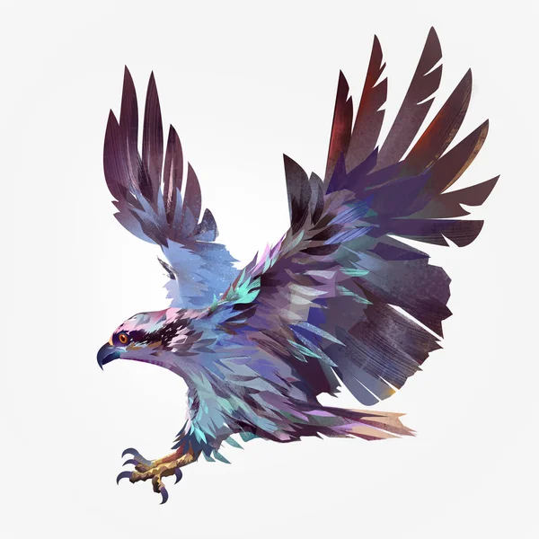 Faucon oiseau volant peint isolé — Photo