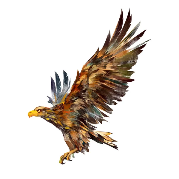 Desenho isolado de uma águia voadora no lado — Fotografia de Stock