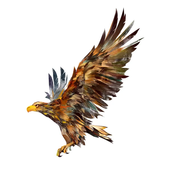 Isolated drawing of a flying eagle on the side — Stock Photo, Image