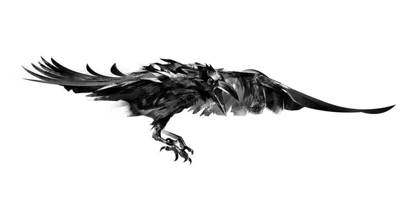 Desenho corvos voadores em um fundo branco — Fotografia de Stock