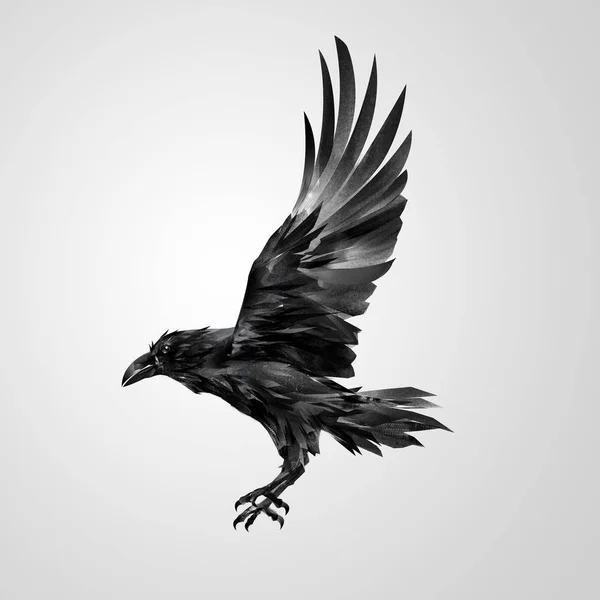 Нарисованный реалистичный летающий одинокий ворон — стоковое фото