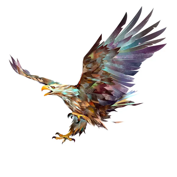 Maloval světlé letícího orla na bílém pozadí — Stock fotografie