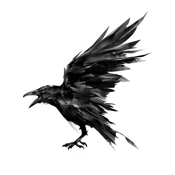 Drawn flying bird raven on white background — Stock Photo, Image