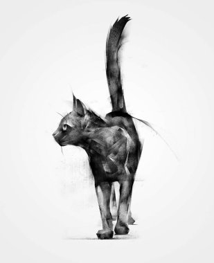 çizilmiş izole hayvan siyah kedi