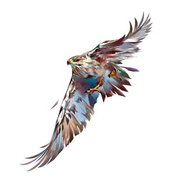 painted bright attacking bird hawk clipart