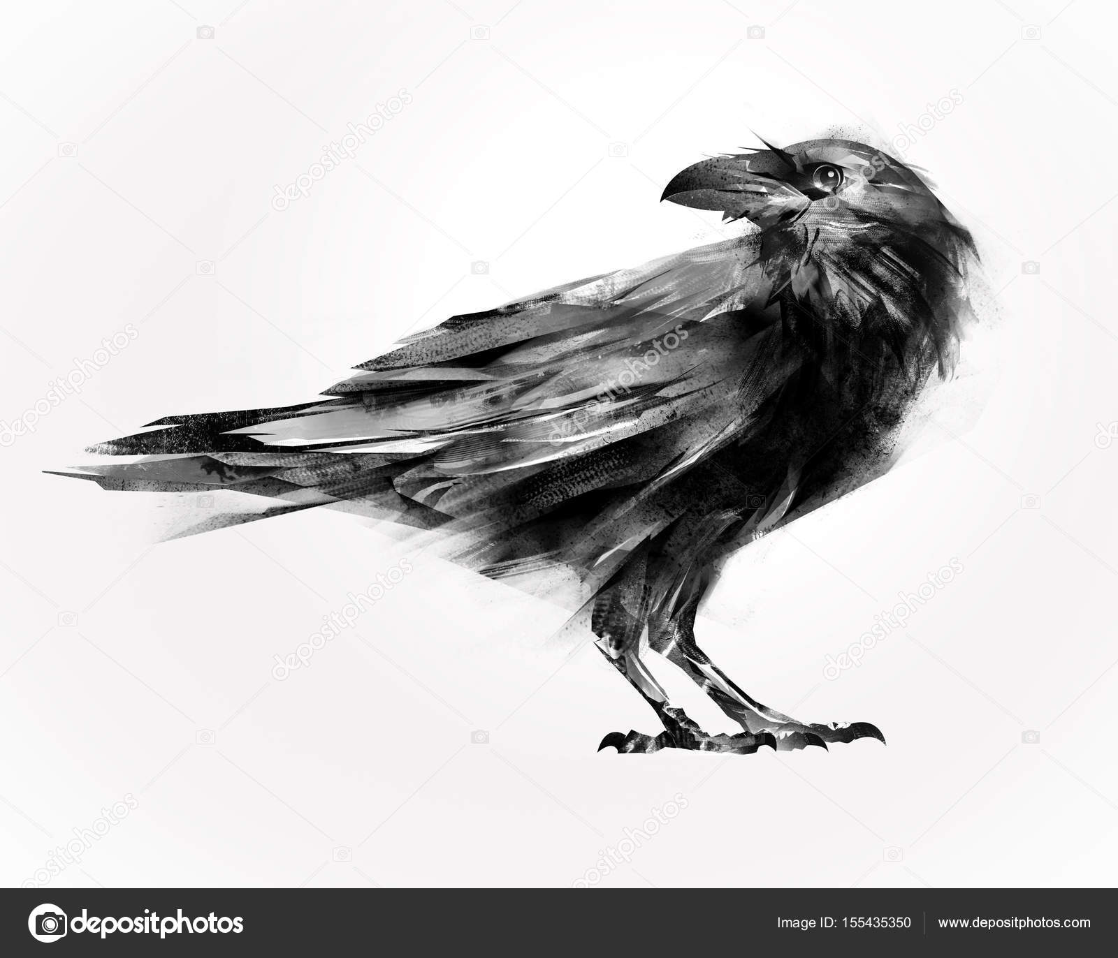 Fotos De Corvo Imagem Para Corvo Melhores Imagens Depositphotos