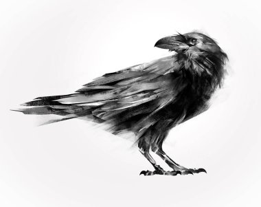 isolated painted sitting bird raven clipart