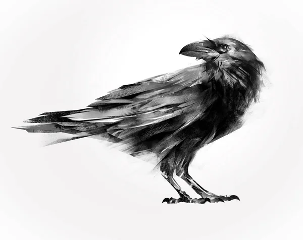 Isolated painted sitting bird raven — Stock Photo, Image