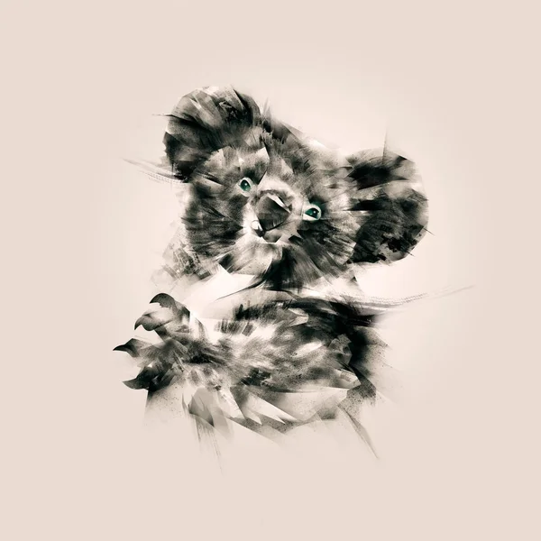 Isolated drawing a portrait of the animal koala — Stock Photo, Image