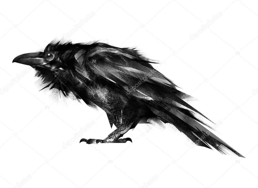 painted black Raven on a white background