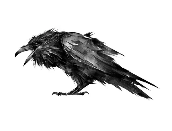 boyalı Raven Beyaz bir arka plan üzerinde oturan