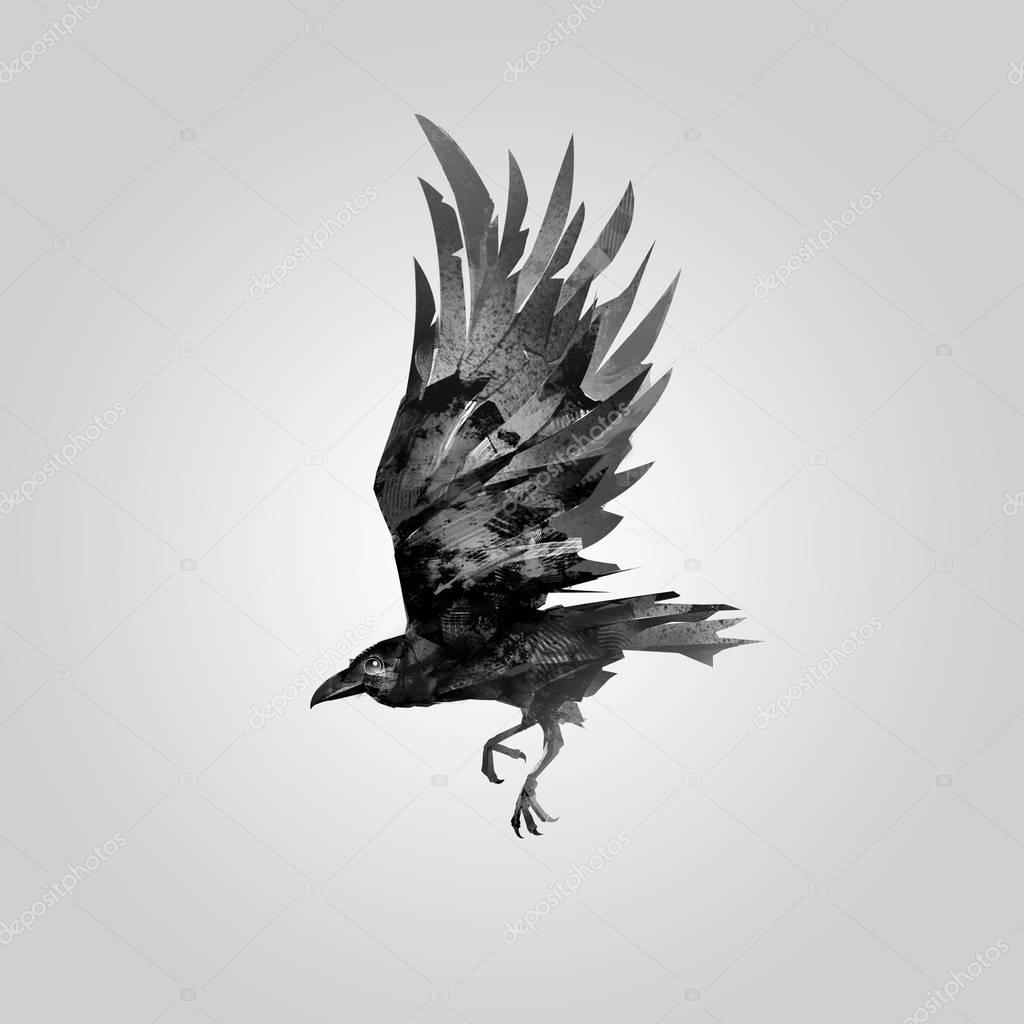 drawn flying bird Raven