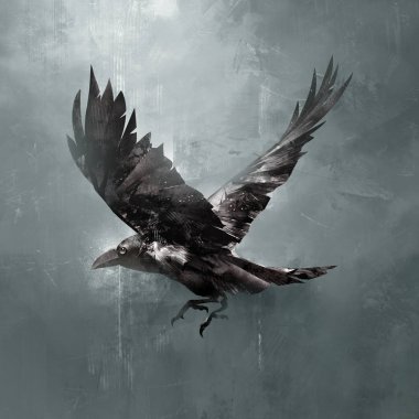 drawn flying crow dark clipart