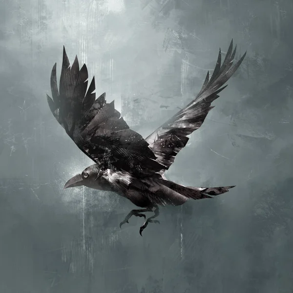 drawn flying crow dark