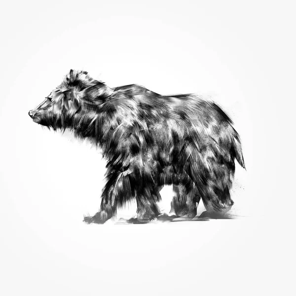 Orso animale isolato disegnato — Foto Stock