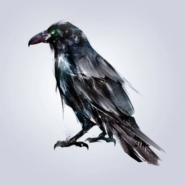 boyalı oturma kuş Raven geri