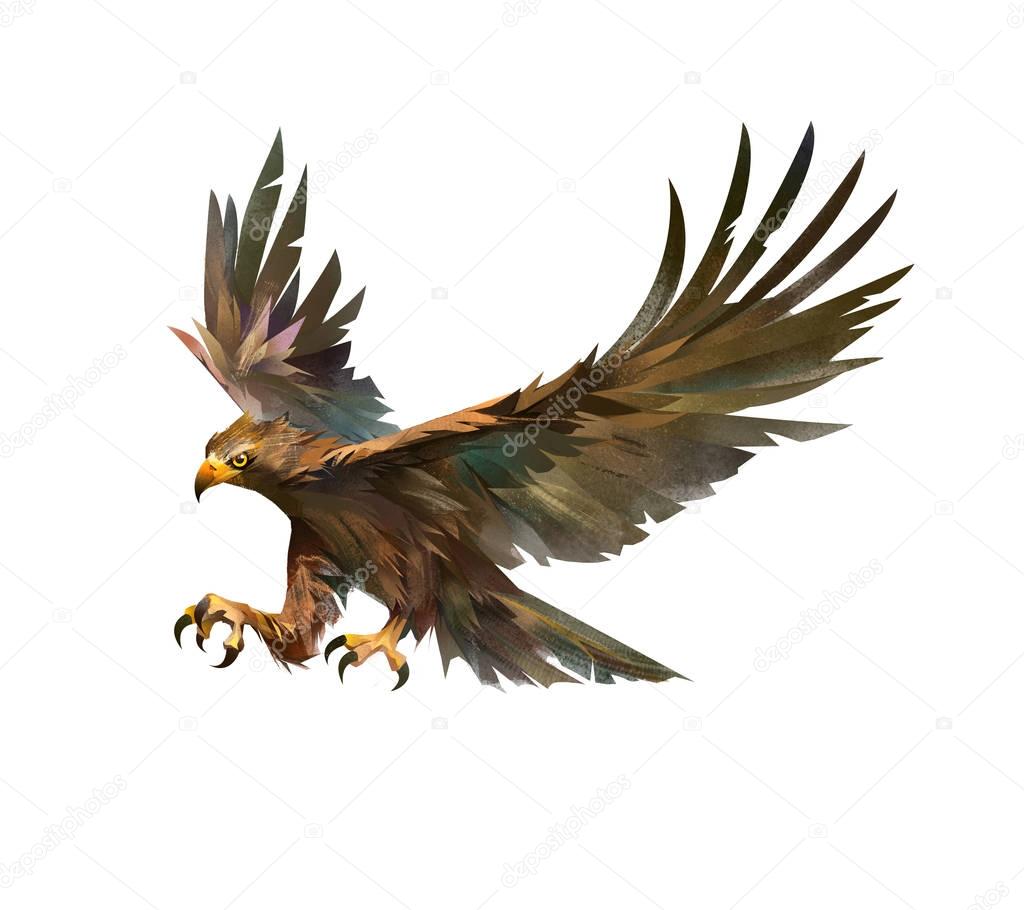 Color drawing of a bird attacking eagle