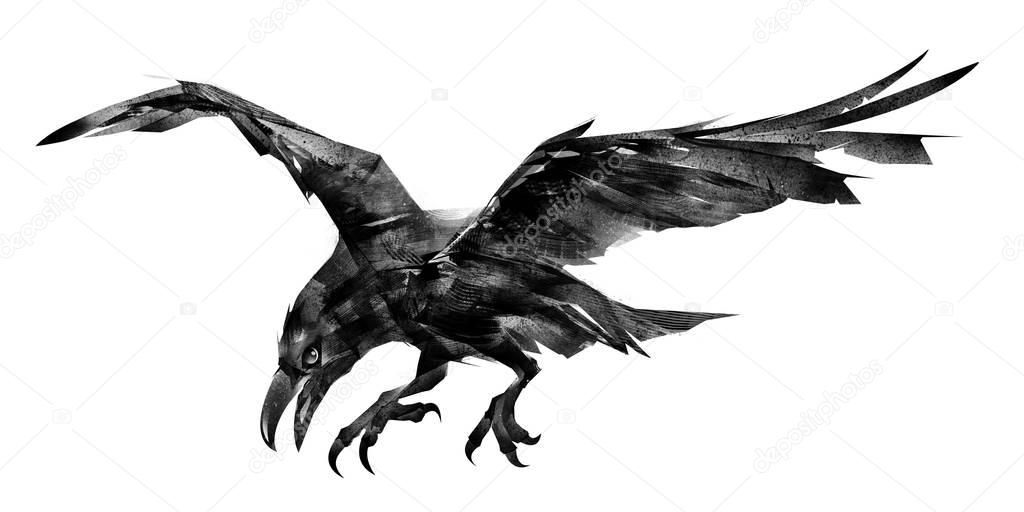 Art isolated flying bird Raven