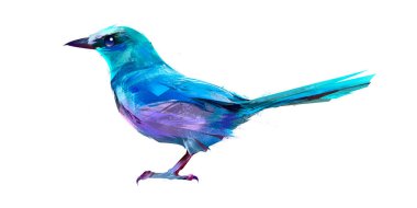 boyalı oturma kuş Jay izole