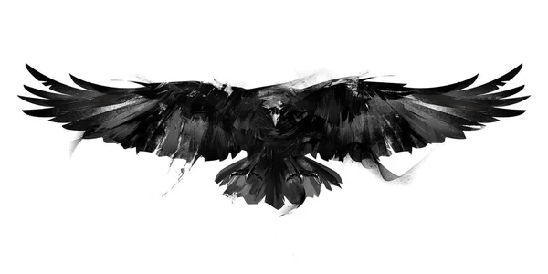 Isolated black and white illustration of a flying bird crow front — Stock Photo, Image