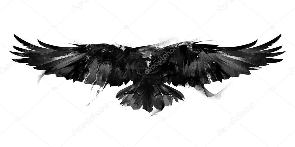 isolated black and white illustration of a flying bird crow front