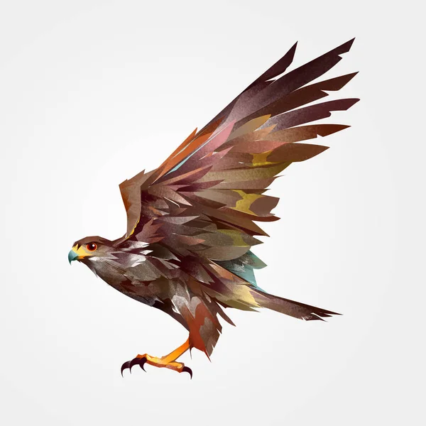 Isoliert farbig bemalten fliegenden Vogel Habicht in der Seite — Stockfoto