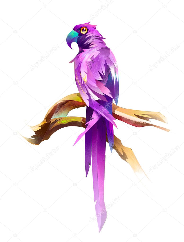 painted colored seated bird parrot on white background