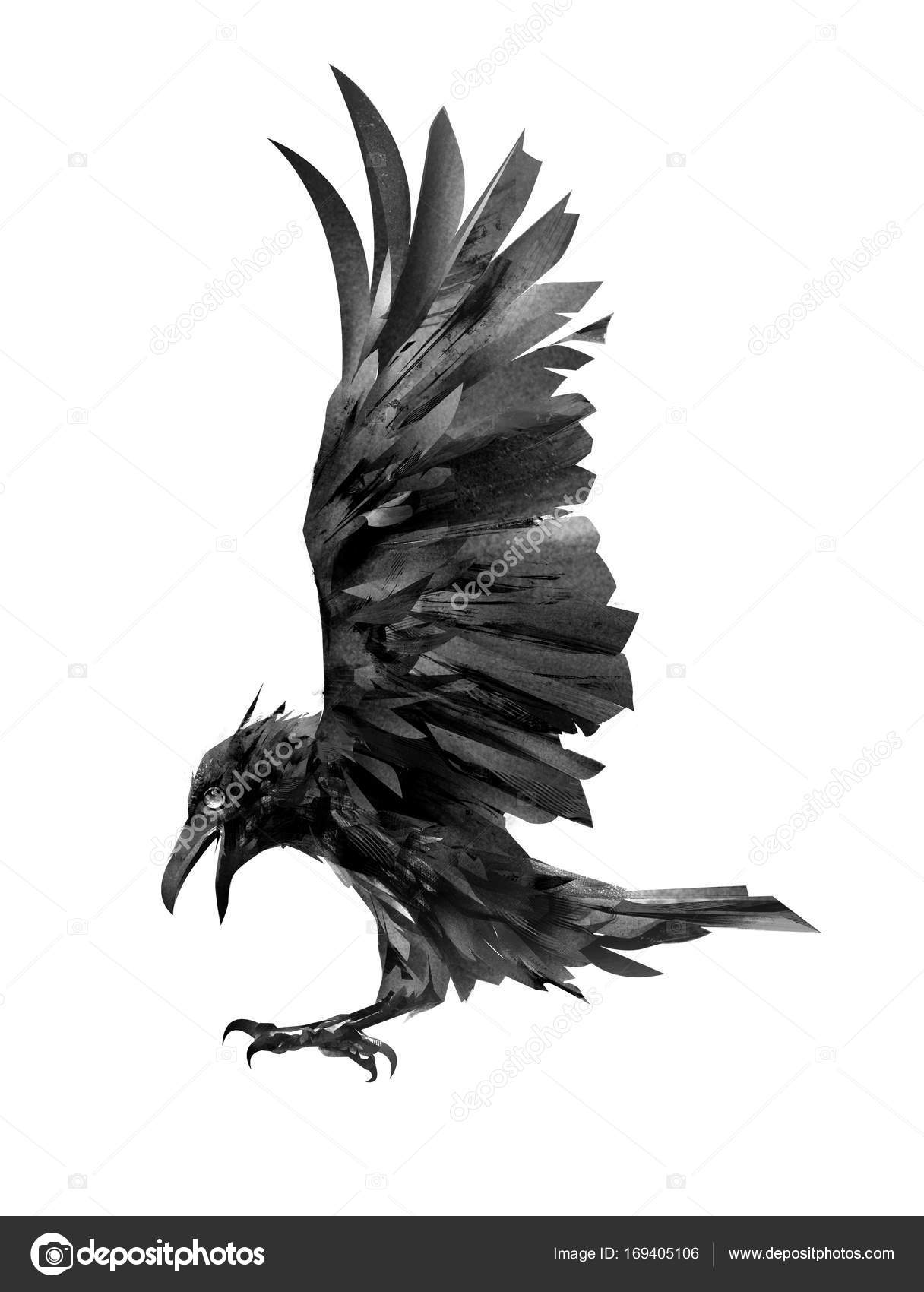 Free: Raven illustration, Common raven Bird Tattoo Drawing Art, crow  transparent background PNG clipart - nohat.cc