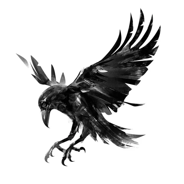 Desenho corvo voador no fundo branco. Esboço isolado de um pássaro . — Fotografia de Stock